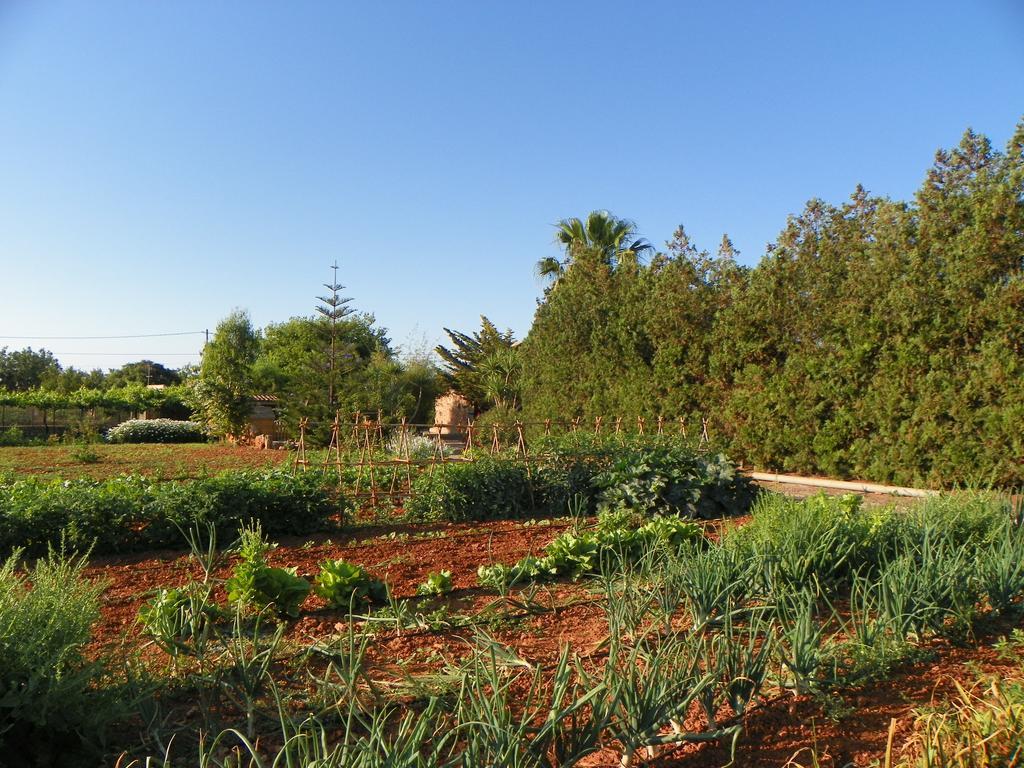 Agroturisme Can Bessol S'Horta Екстериор снимка