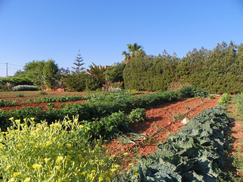 Agroturisme Can Bessol S'Horta Екстериор снимка